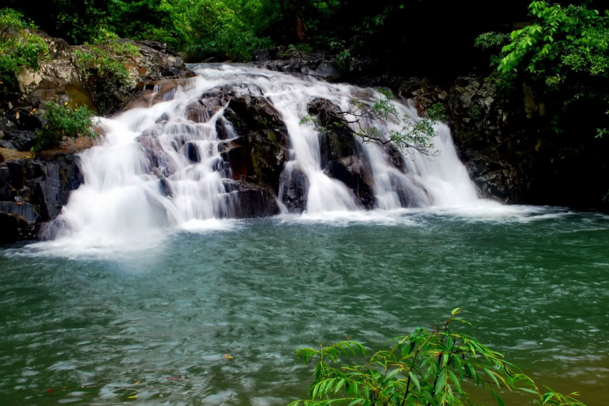 Yang Bay Waterfall cascading into rocks surrounded by greenery in Nha Trang